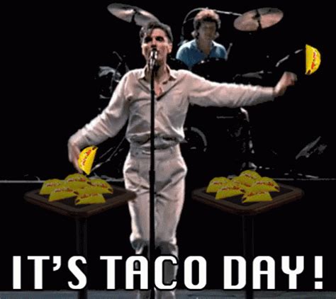 funny taco gif|taco dance gif.